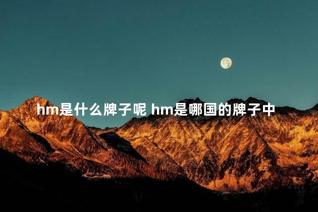 hm是什么牌子呢 hm是哪国的牌子中文叫什么